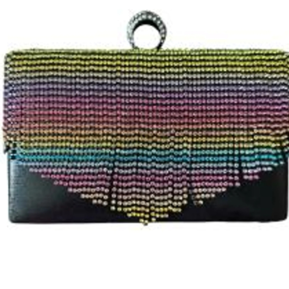 Rainbow Fringe Clutch